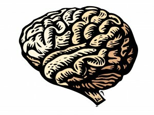 Travma beyninizi etkiler, ancak TSSB'yi iyileştirmek her zamankinden daha olasıdır. Travmanın beyni nasıl etkilediğini ve nöroplastisitenin iyileşmenize nasıl yardımcı olduğunu öğrenin. Oku bunu.